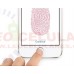 APPLE IPHONE 5S 32GB 4G TOUCH ID DESBLOQUEADO NACIONAL